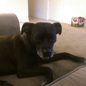 Meet your Posher, Dylan